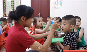 Nâng cao chất lượng bữa ăn bán trú cho trẻ mầm non