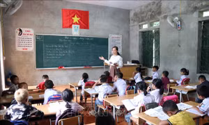 Điều lệ trường Tiểu học: Tạo điều kiện triển khai hiệu quả Chương trình giáo dục phổ thông mới