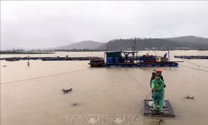 Nghệ An ban hành Công điện khẩn ứng phó bão số 10, mưa lũ, sạt lở đất, lũ ống, lũ quét
