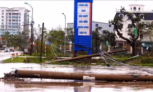Hơn 1,8 triệu khách hàng của Điện lực miền Bắc đã có điện trở lại