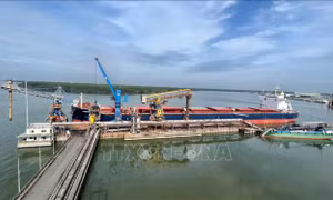 Bà Rịa - Vũng Tàu: Tàu container va chạm tàu hàng do thời tiết xấu