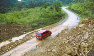 Lên phương án bảo đảm an toàn cho người và phương tiện giao thông trong bão số 11