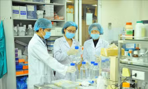 Xét tặng Giải thưởng Khoa học và Công nghệ dành cho giảng viên trẻ, sinh viên