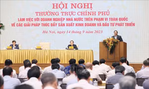 Doanh nghiệp nhà nước phát huy tối đa nguồn lực, tập trung phát triển trên tất cả các lĩnh vực
