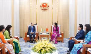 Cơ hội thúc đẩy hợp tác khoa học, công nghệ giữa Quảng Ngãi và doanh nghiệp Ấn Độ
