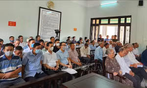 Vụ kê khống hơn 1.200 mộ giả để trục lợi: Tuyên phạt 71 bị cáo 