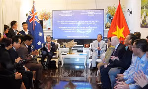 Kết nối hợp tác thương mại và đầu tư giữa tỉnh Gia Lai và bang New South Wales 