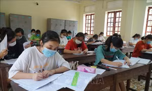 Năm học 2020-2021, Nghệ An có 81 học sinh đoạt giải quốc gia