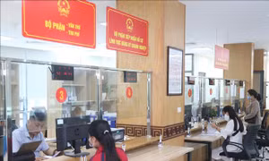Hà Nội siết chặt kỷ cương, khắc phục 'bệnh sợ trách nhiệm'