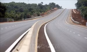 Xử phạt tài xế ô tô 'đá đèn' chạy ngược chiều đường dẫn cao tốc Phan Thiết - Dầu Giây