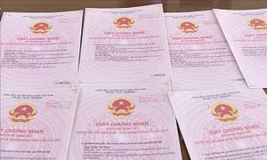 Làm giả hàng chục giấy chứng nhận quyền sử dụng đất để chiếm đoạt 34 tỷ đồng