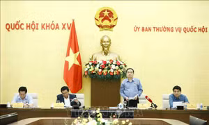 Tổ chức Hội thảo Văn hóa năm 2022 bảo đảm thiết thực, hiệu quả