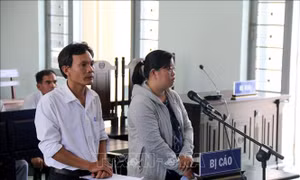 Bình Thuận: Y án sơ thẩm vụ tráo máy nông cụ phát cho người nghèo