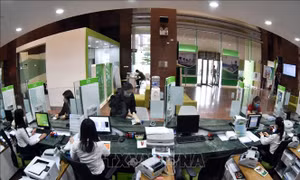 Quản trị dữ liệu thông minh trong lĩnh vực ngân hàng, tài chính