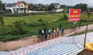Hà Nội: Rạn nứt, sụt lún một số vị trí trên tuyến đê hữu Đà, hữu Hồng