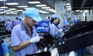 Tạo mối quan hệ cộng sinh giữa doanh nghiệp trong nước và doanh nghiệp FDI