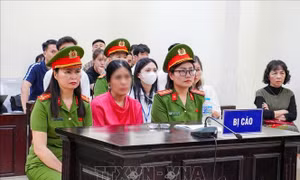 Dời thời gian phúc thẩm vụ cựu Hiệu trưởng Trường THCS Ba Đình (Hà Nội)