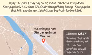 Truy tặng Huy hiệu Tuổi trẻ dũng cảm cho phi công Trần Ngọc Duy 