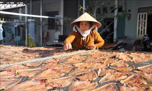 Làng khô xứ biển Trần Đề chuẩn bị nguồn hàng phục vụ Tết 