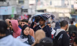 Xung đột Hamas - Israel: Du lịch Palestine ước tính thiệt hại 200 triệu USD, xuất nhập khẩu hàng hóa của Israel giảm mạnh        