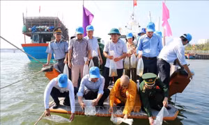 Thả hơn 1 triệu tôm, cá giống tái tạo nguồn lợi thủy sản