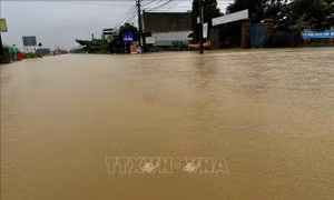 6 tỉnh, thành phố Trung Bộ và Tây Nguyên đảm bảo an toàn đê điều ứng phó bão số 15