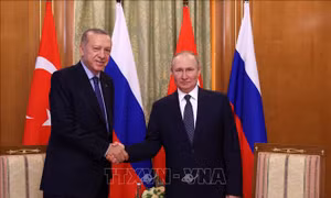 Tổng thống Nga Putin sẵn sàng thảo luận về thỏa thuận ngũ cốc Biển Đen 