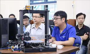 Quy hoạch mạng lưới đại học: Xây dựng các trường trọng điểm quốc gia lĩnh vực STEM