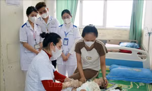 Nữ cán bộ Đoàn đam mê nghiên cứu khoa học