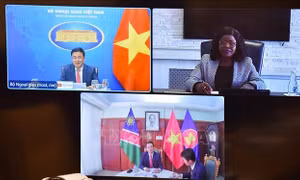 Hội đàm trực tuyến hai Thứ trưởng Ngoại giao Việt Nam - Namibia
