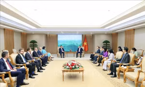 Thủ tướng Phạm Minh Chính tiếp Bộ trưởng Kinh tế, Doanh nghiệp và Du lịch Romania