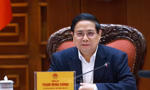 Thủ tướng Chính phủ phân công các Phó Thủ tướng chỉ đạo thực hiện một số công việc trọng tâm, cấp bách