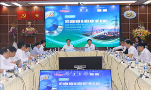 Áp lực kép từ thời tiết cực đoan và nhu cầu điện tăng cao