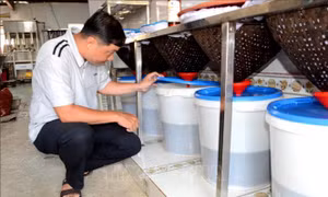 Làng biển Nam Ô - Bài 2: Gìn giữ nét văn hóa truyền thống cha ông