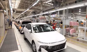 Xu hướng thị trường ô tô Việt Nam năm 2025