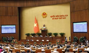 Tuần làm việc thứ 4, Kỳ họp thứ 6, Quốc hội khóa XV: Tập trung cho công tác lập pháp và giám sát