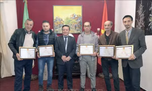 Đại sứ quán Việt Nam tại Algeria tặng giấy khen cho một số nhà làm phim, phóng viên có nhiều đóng góp cho công tác thông tin đối ngoại