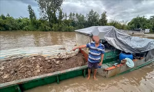Hai người bị phạt 50 triệu đồng vì khai thác đất trái phép