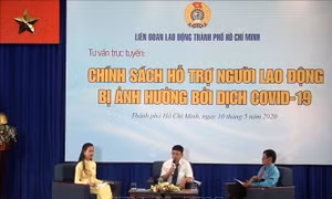 Thành phố Hồ Chí Minh chuẩn bị các điều kiện cần thiết để thúc đẩy lao động sản xuất