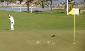 Hà Nội, Hải Phòng và Quảng Ninh đạt thành tích cao môn Golf