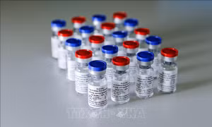 Nga sẽ cung cấp 100 triệu liều vắc-xin ngừa COVID-19 cho Ấn Độ