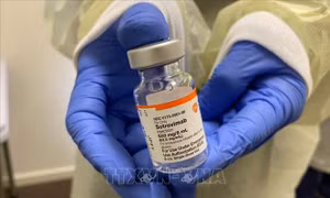EU cấp phép sử dụng vaccine ngừa COVID-19 của Sanofi và GSK làm mũi tăng cường