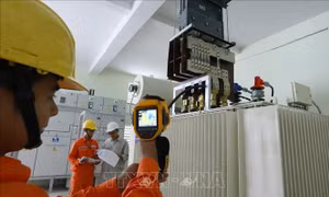 EVNNPC tiết giảm chi phí trước khó khăn do giá nhiên liệu tăng cao