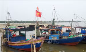 Ninh Bình cấm biển từ 12 giờ trưa 24/9