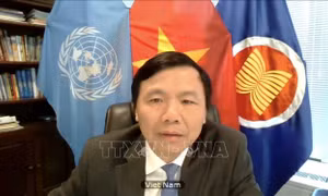Đại sứ Việt Nam tại LHQ: 'Phát huy uy tín và để lại hình ảnh đẹp của Việt Nam trong lòng bạn bè quốc tế'