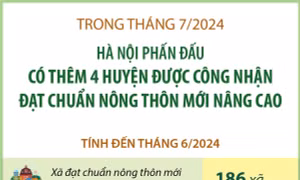 Trong tháng 7/2024: Hà Nội phấn đấu có thêm 4 huyện đạt chuẩn nông thôn mới nâng cao