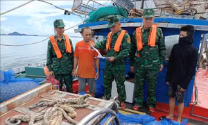 Bắt giữ 7 tàu đánh cá khai thác thủy sản sai quy định