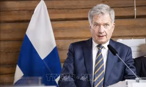 Phần Lan đề xuất OSCE hỗ trợ hoà đàm giữa Nga, Ukraine 