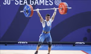 Cử tạ Việt Nam nỗ lực giành suất tham dự Olympic Tokyo 2020