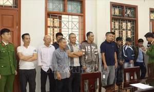 Đột kích sới bạc trong rừng, bắt giữ 11 đối tượng
